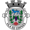 Brasão de Cinfães