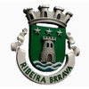 Brasão de Ribeira Brava